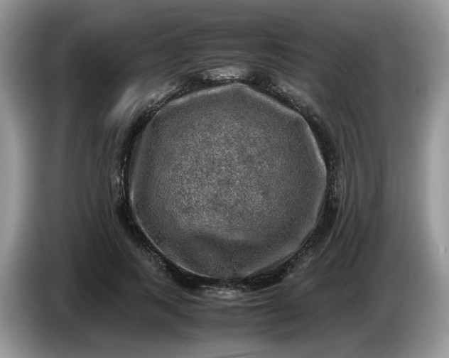 X0000086760743200704271730