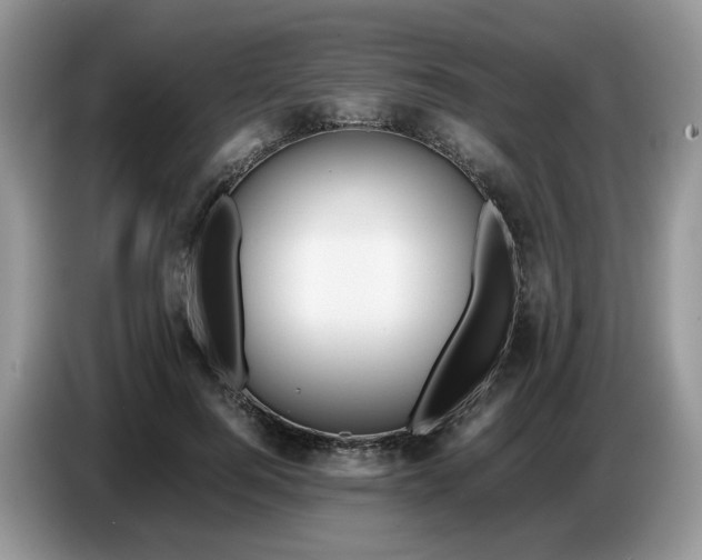 X0000086760744200704271730