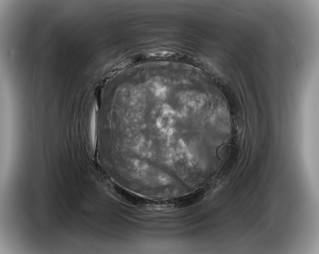 X0000086760745200704271730