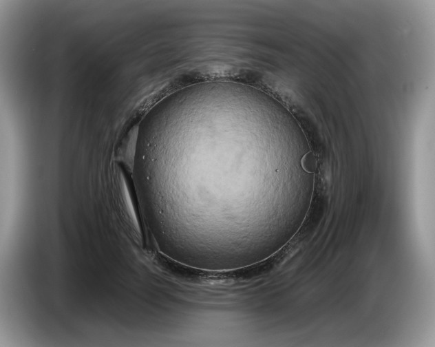 X0000086760746200704271730