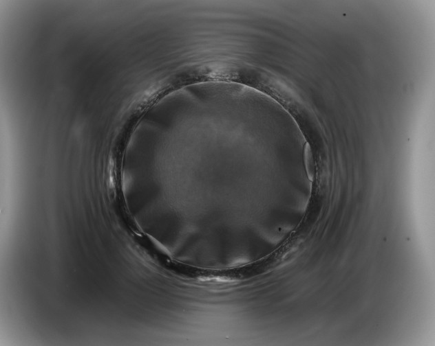 X0000086760748200704271730