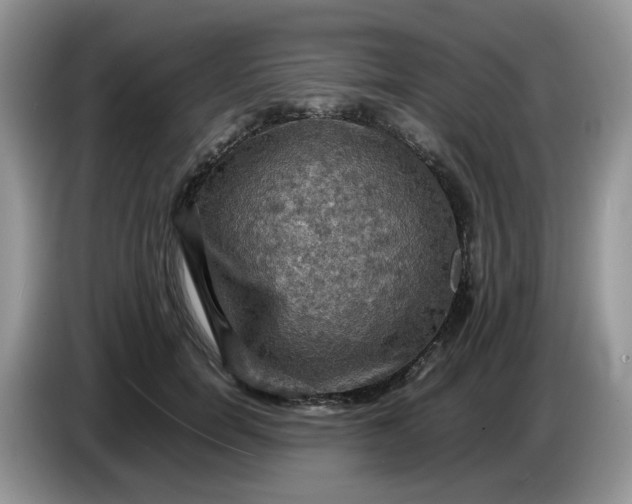 X0000086760750200704271730