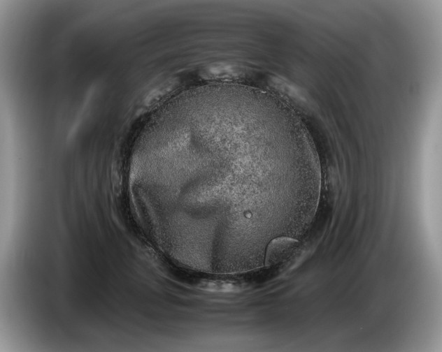 X0000086760751200704271730