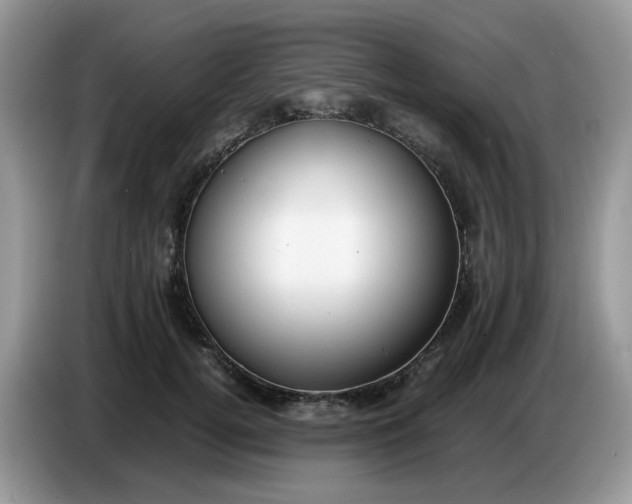 X0000086760752200704271730