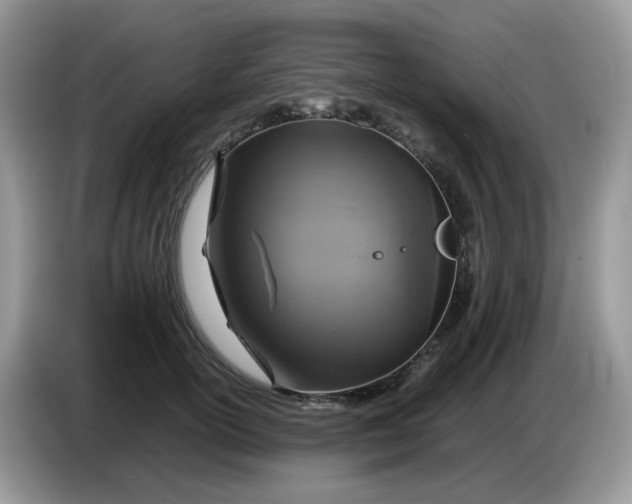 X0000086760754200704271730