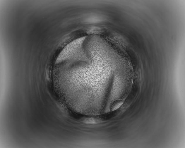 X0000086760755200704271730