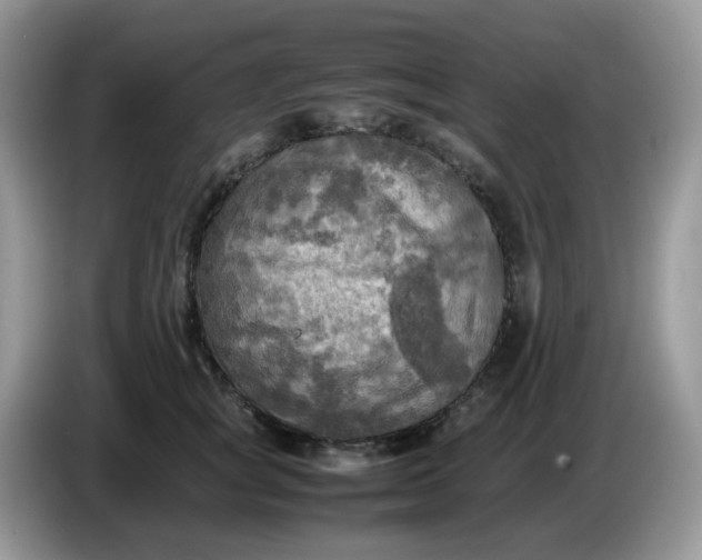 X0000086760757200704271730