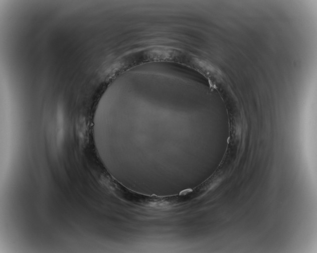 X0000086760759200704271730