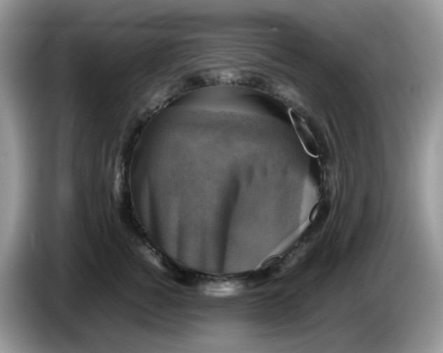 X0000086760760200704271730