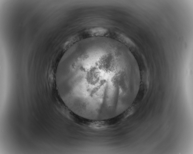 X0000086760761200704271730