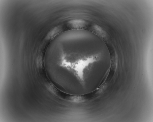 X0000086760762200704271730