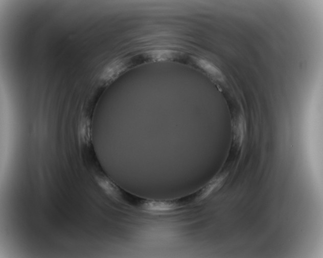 X0000086760766200704271730