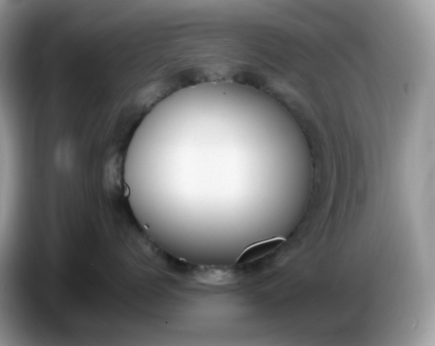 X0000086760768200704271730