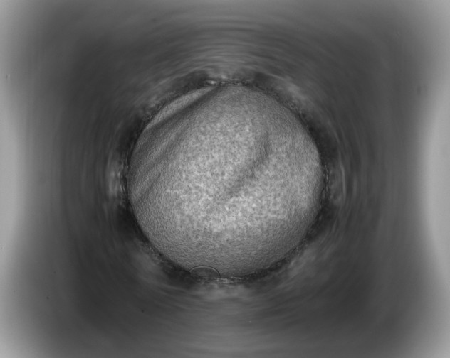 X0000086760770200704271729