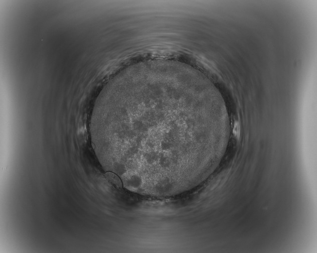 X0000086760771200704271729