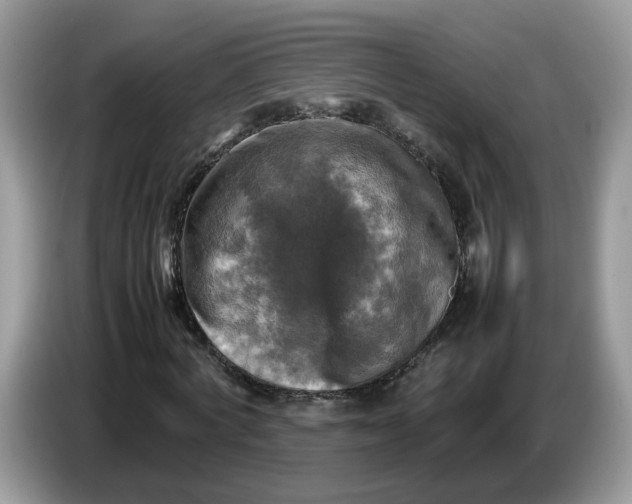 X0000086760772200704271729