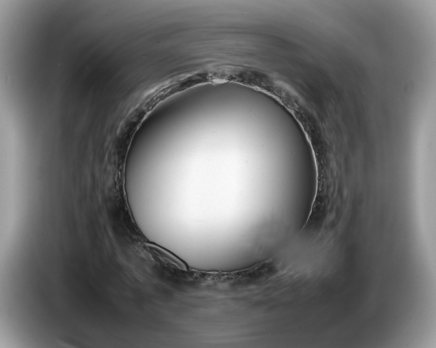 X0000086760773200704271729