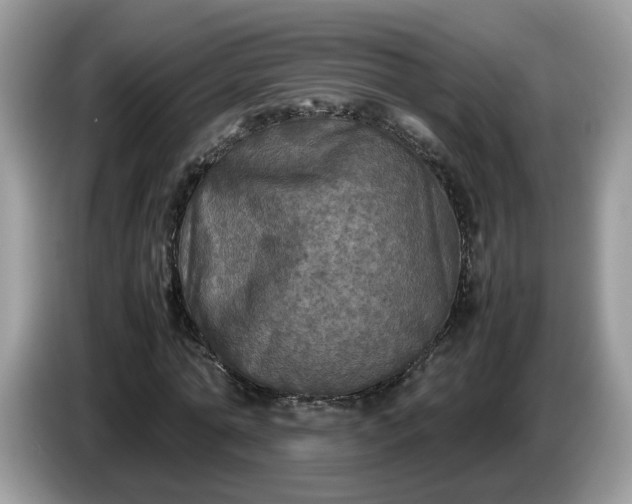 X0000086760774200704271729