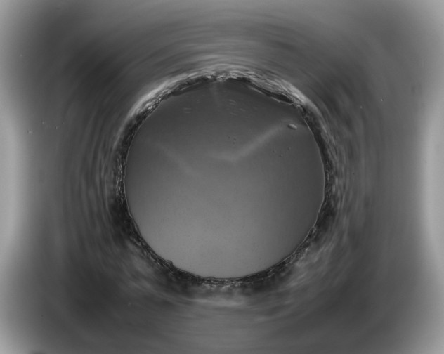 X0000086760775200704271729