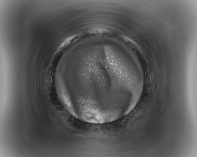 X0000086760776200704271729