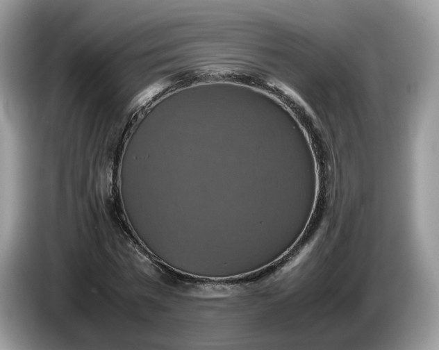 X0000086760777200704271729