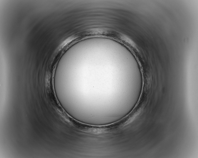 X0000086760778200704271729