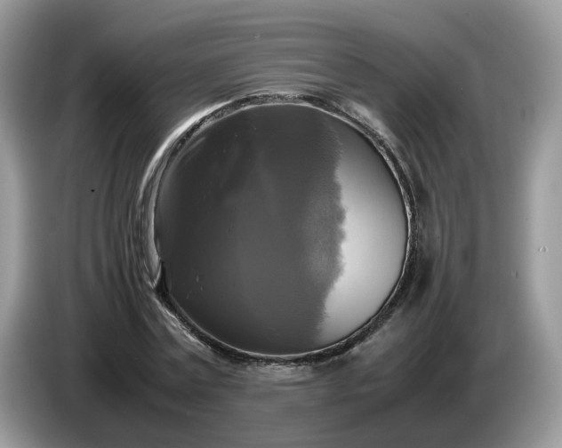 X0000086760779200704271729