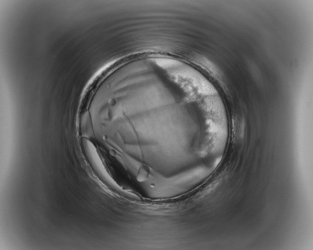 X0000086760780200704271729