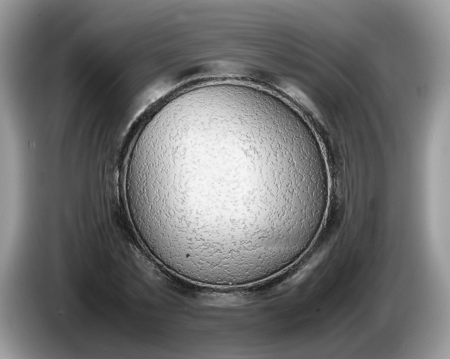 X0000086760781200704271729