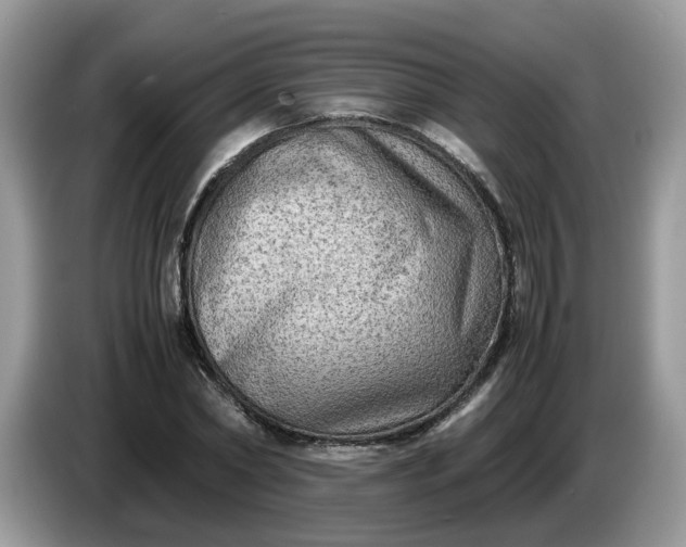 X0000086760782200704271729