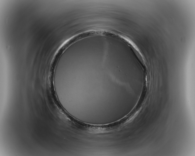 X0000086760783200704271729