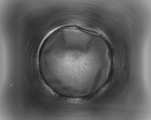 X0000086760784200704271729