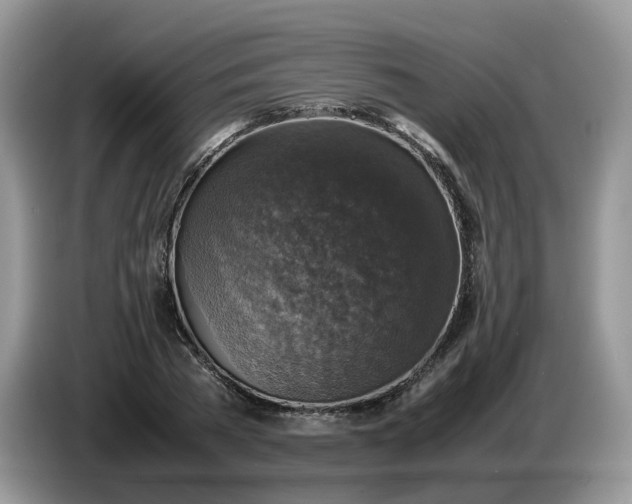 X0000086760785200704271729