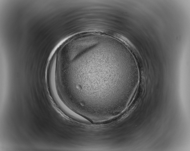 X0000086760788200704271729