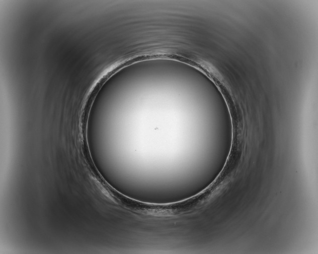 X0000086760789200704271729