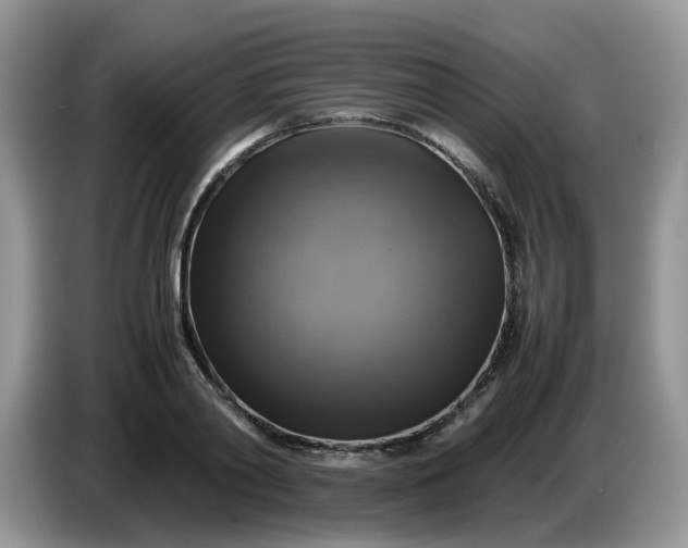 X0000086760790200704271729