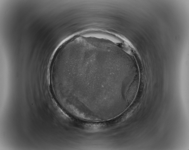 X0000086760791200704271729