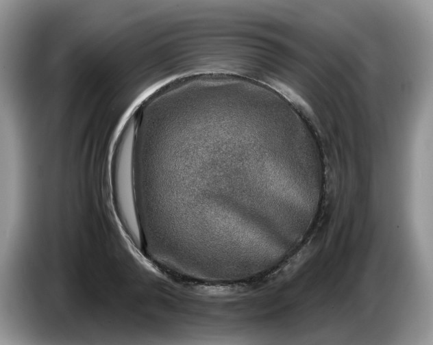 X0000086760792200704271729