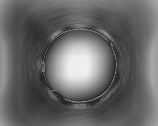 X0000086760793200704271729