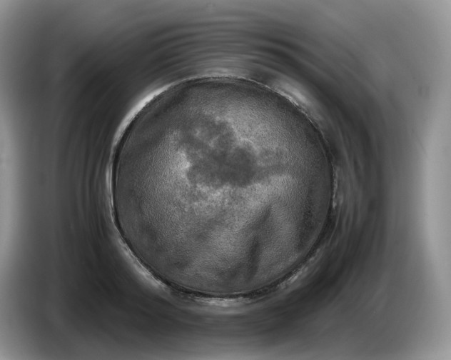 X0000086760796200704271729