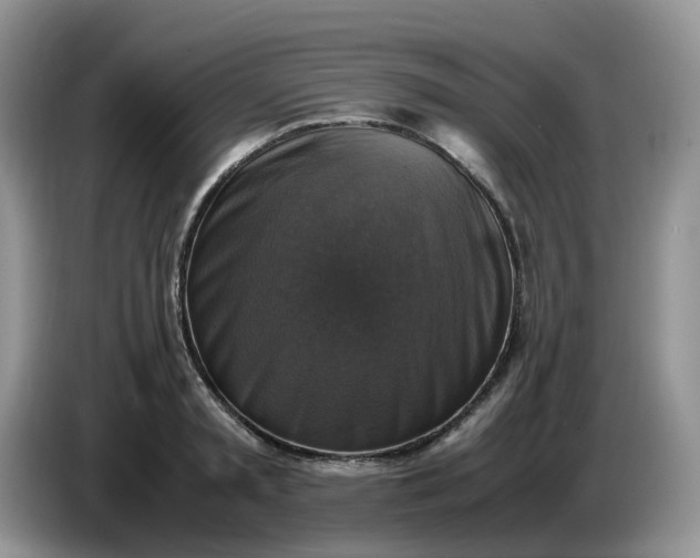 X0000086760797200704271729