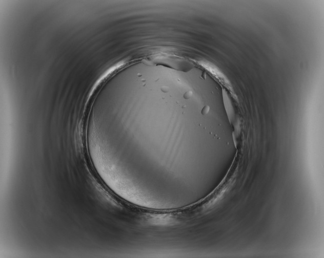 X0000086760798200704271729