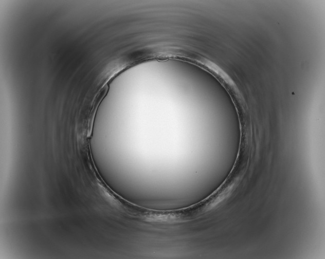 X0000086760801200704271729