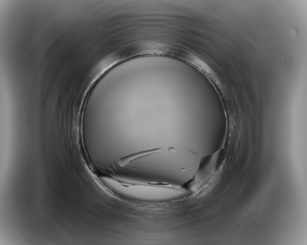 X0000086760802200704271729