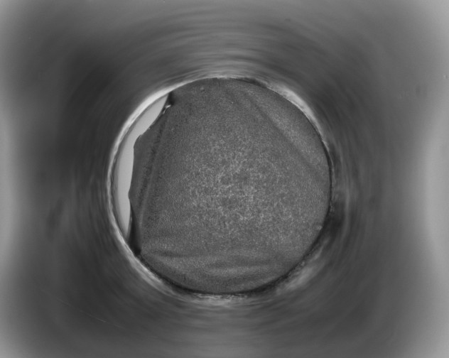 X0000086760803200704271729