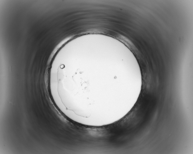 X0000086760804200704271729