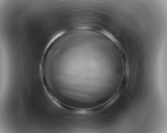 X0000086760806200704271729