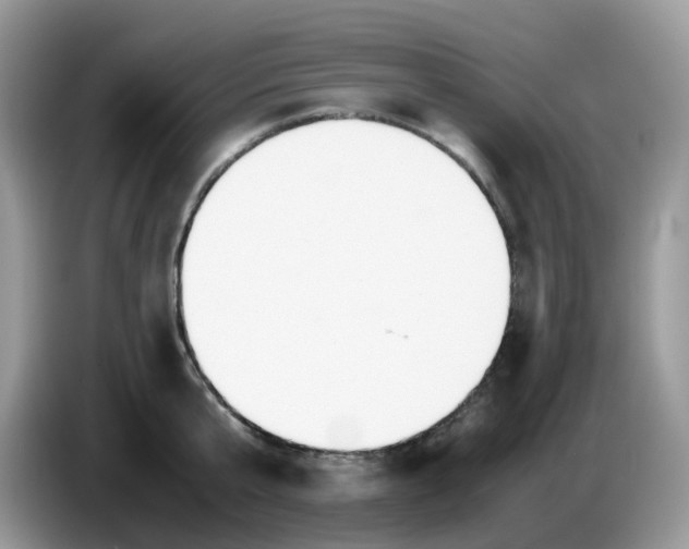 X0000086760807200704271729