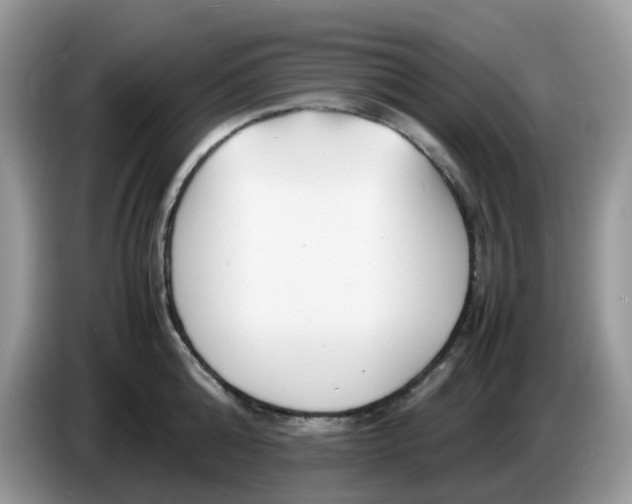 X0000086760808200704271729