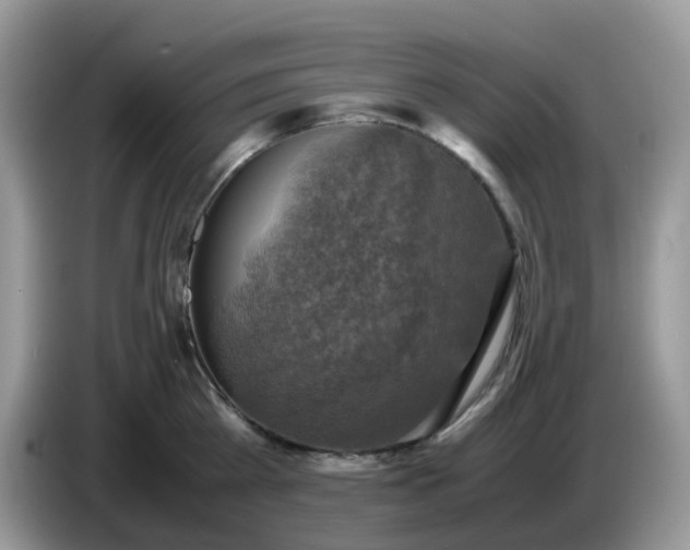 X0000086760809200704271729